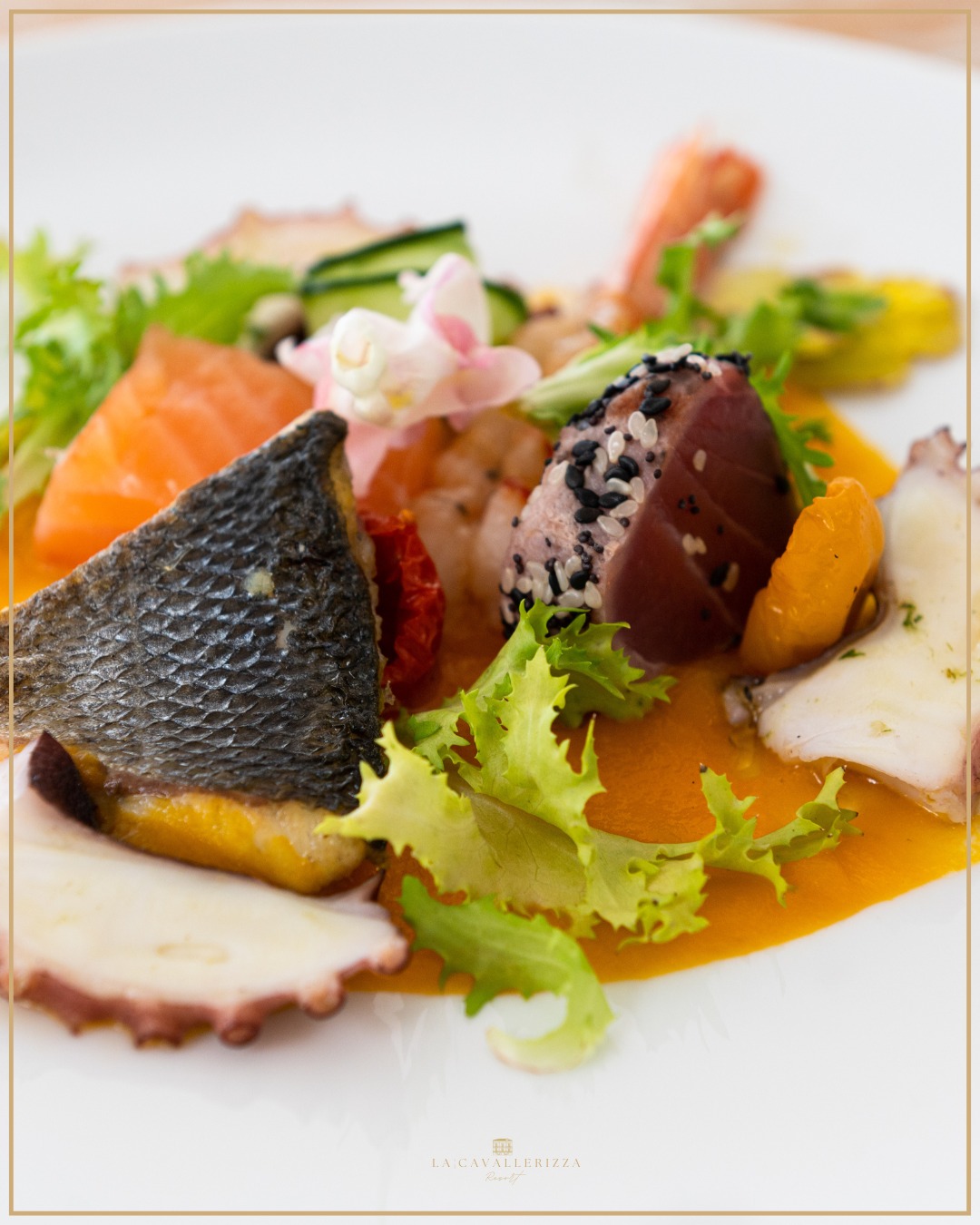 cucina gourmet sala ricevimenti Matera
